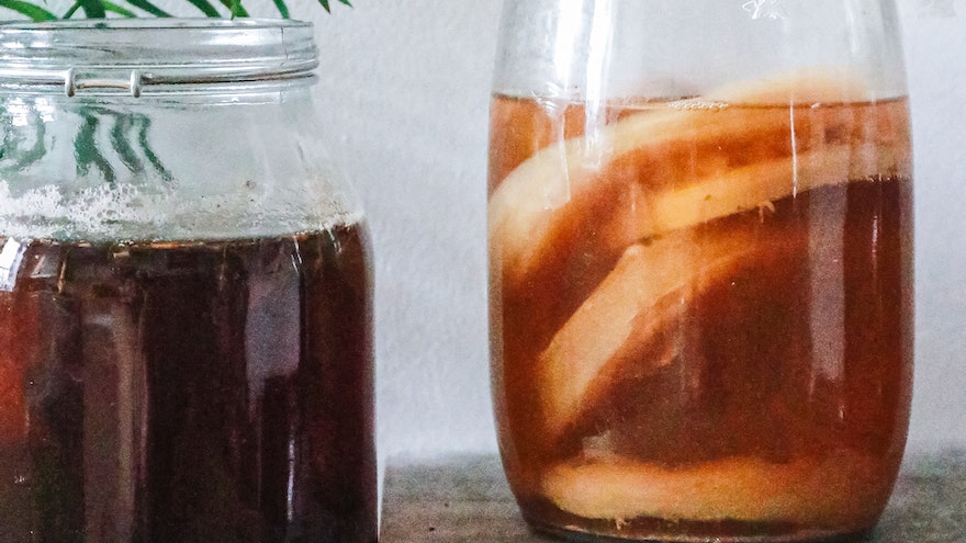 How to Make Kombucha from a SCOBY